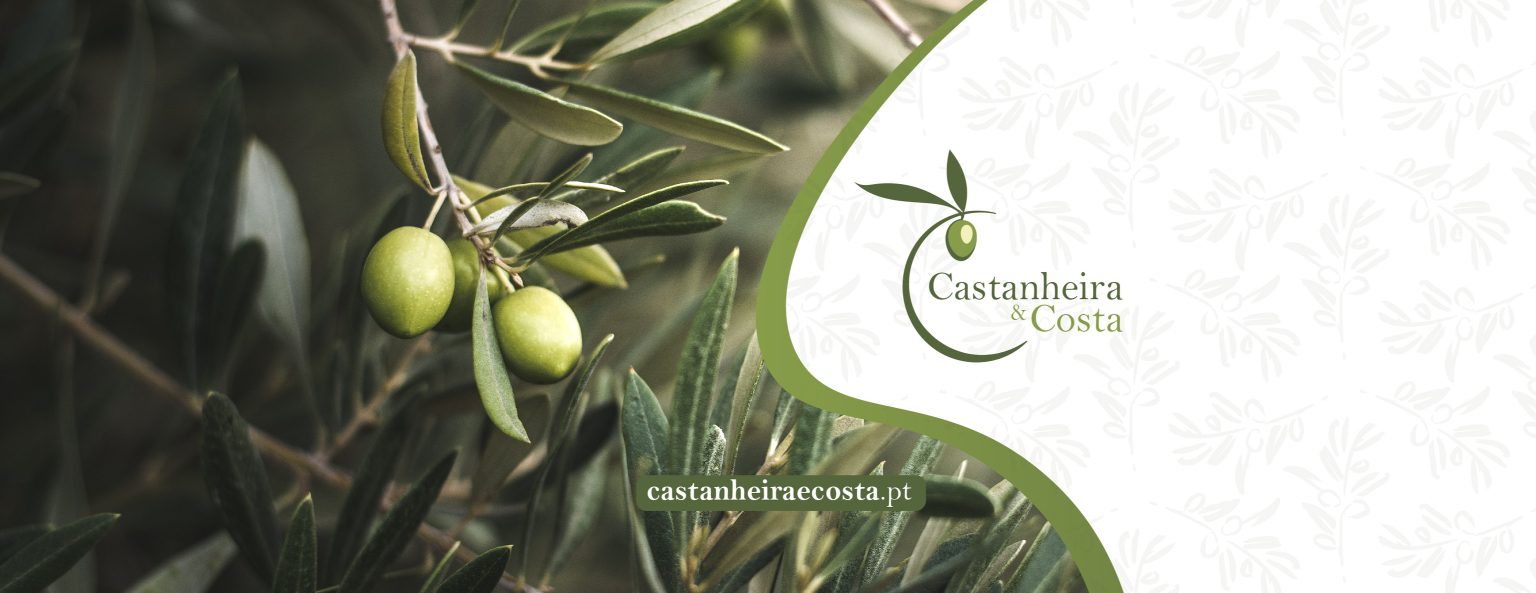 Portfolio_castanheira_banner